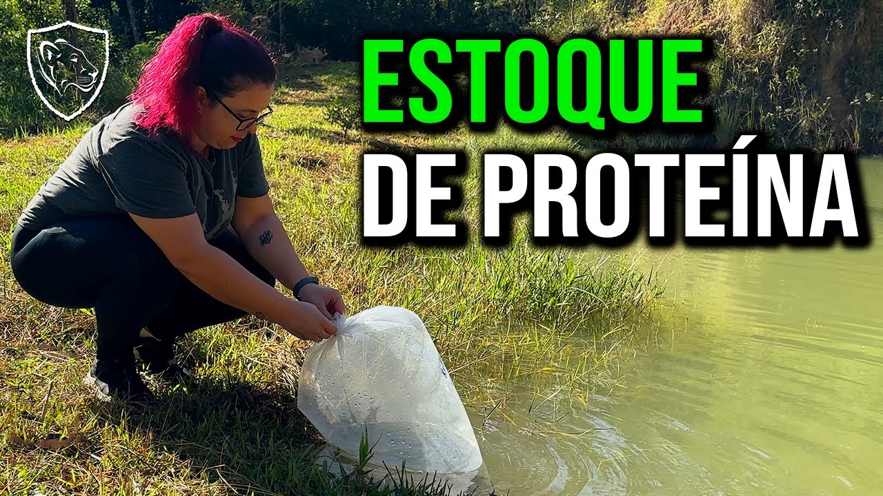 Dois novos tipos de peixes no AÇUDE do RANCHO SV