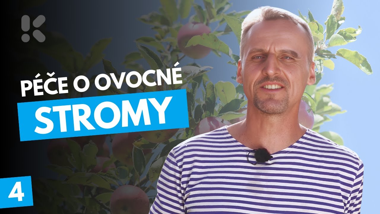 Péče o ovocné stromy a jejich údržba řezem #3 - Starý strom a co s ním