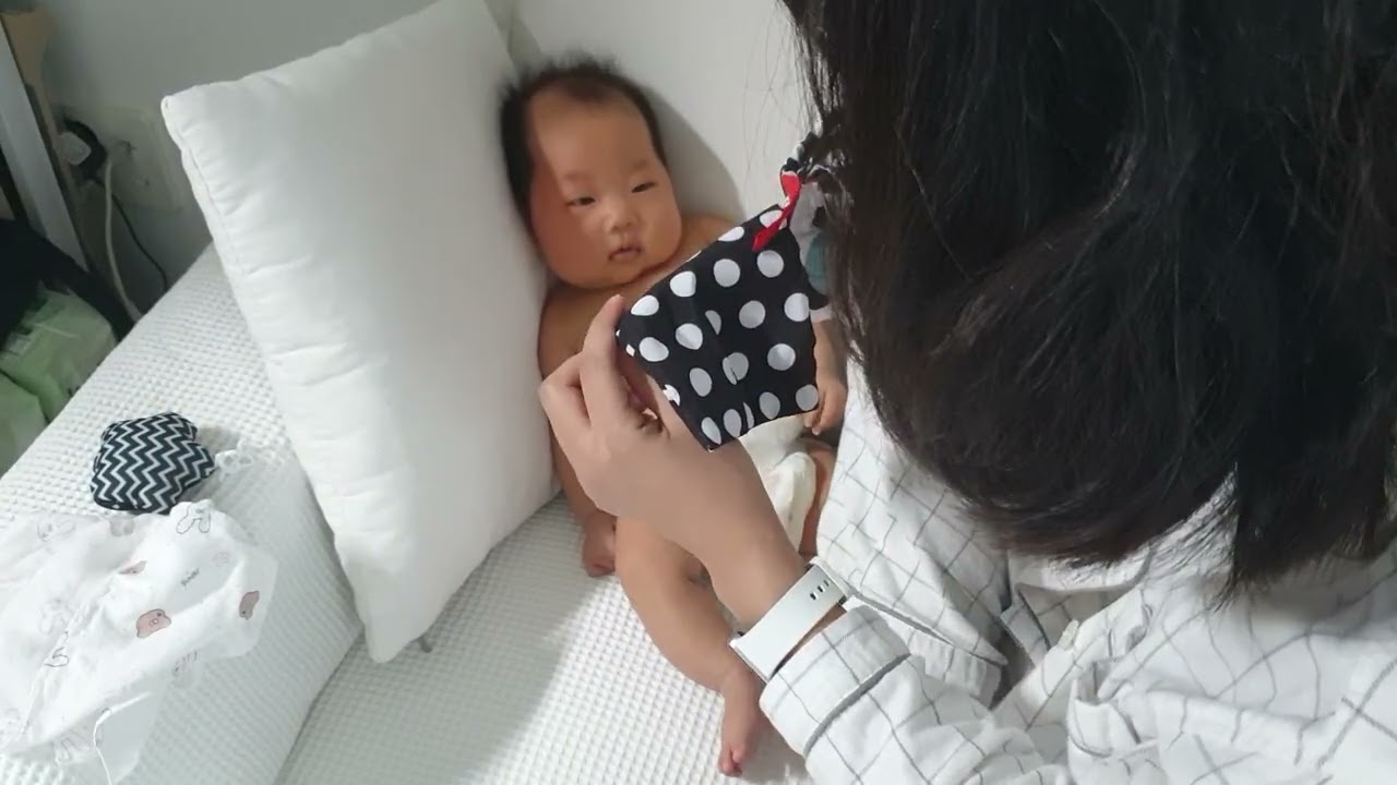 2025년 12월 8일 초점책보고 방구뿡