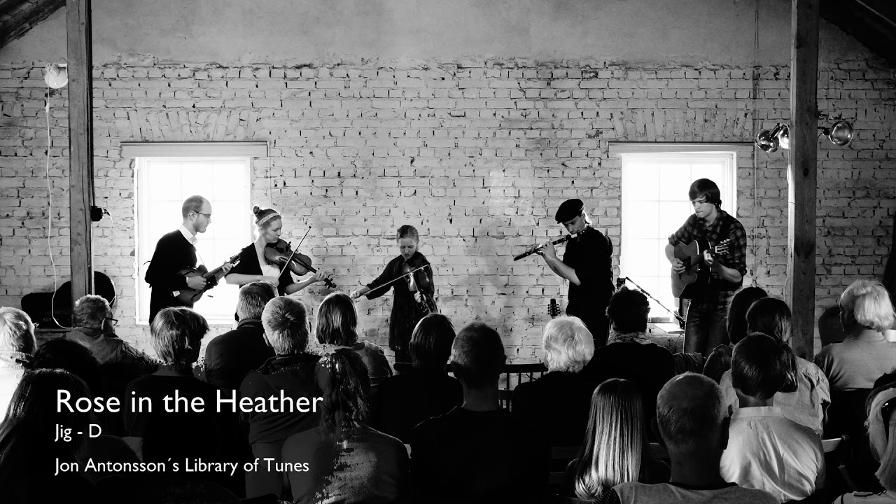 Rose in the Heather - Jig D | Learn Irish Music