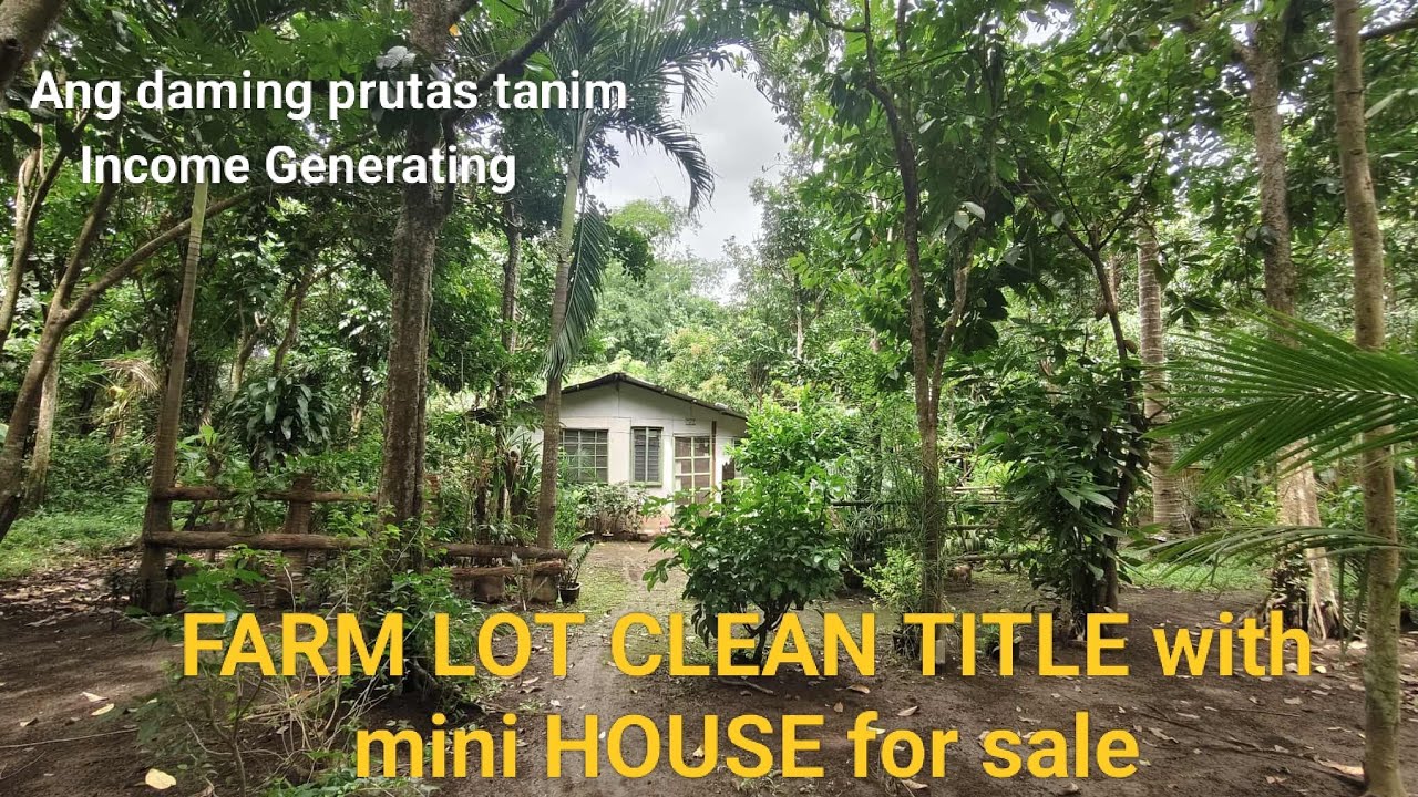 #Vlog354 FARM LOT CLEAN TITLE with mini HOUSE for sale | 📍SOLD📍