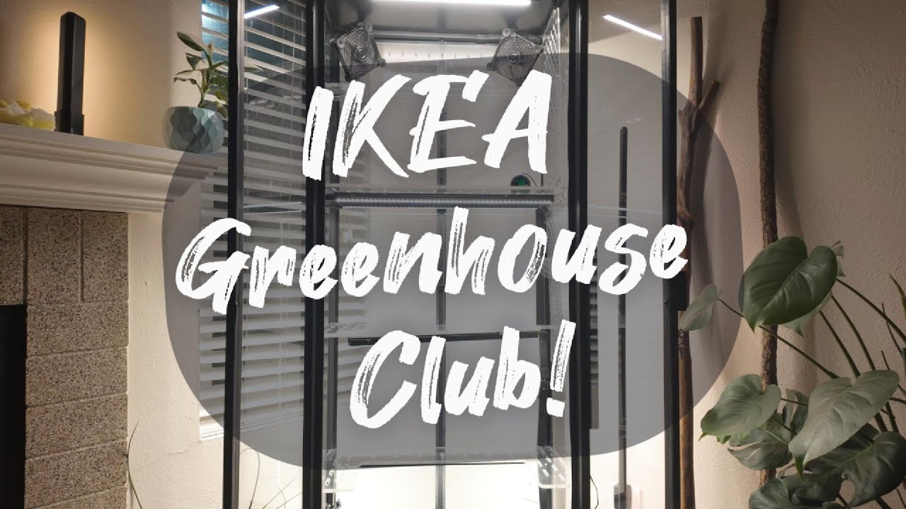 Dream Plant Cabinet: Building the ultimate IKEA Greenhouse Cabinet