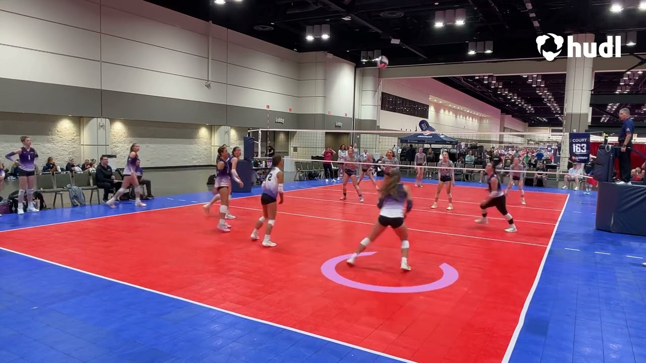 2026 Sunshine Highlights Part 2