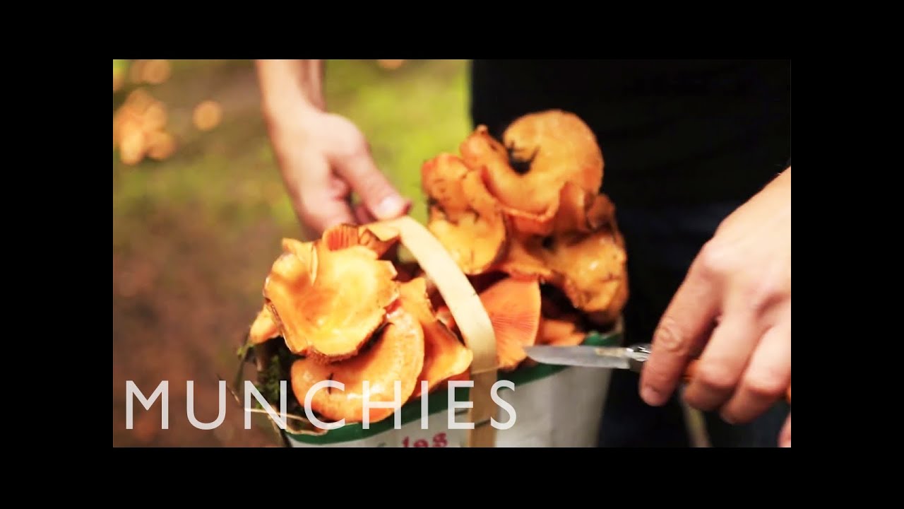 Hangover Cures: Mushroom Pappardelle and Sicilian Street food