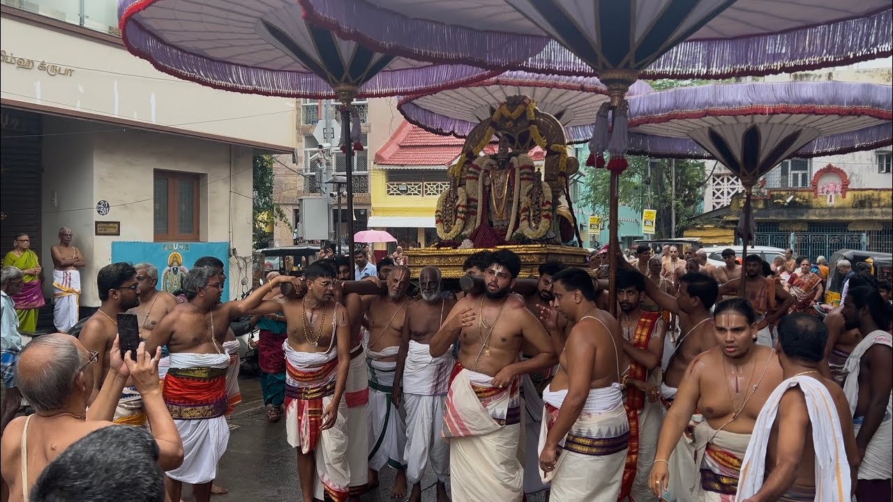 மணவாளமாமுனிகள் சாத்துமறை 2025 | திருவல்லிக்கேணி ஸ்ரீ பார்த்தசாரதி பெருமாள் | Shree