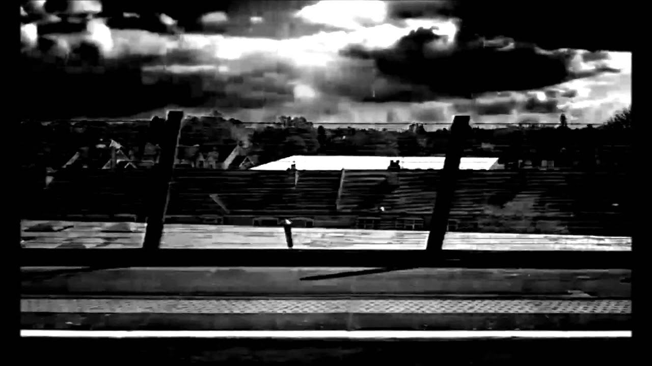 Mabel Love - Socks