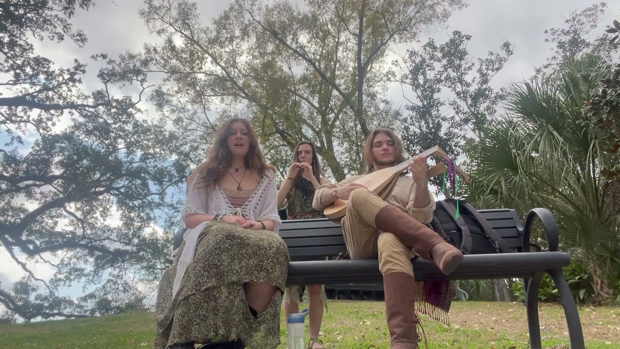 Folk Music Trio plays The Dancing and the Dreaming by John Powell 