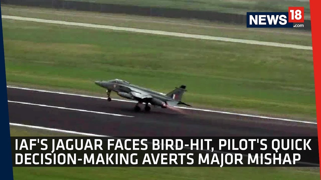 IAF's Jaguar Faces Bird-Hit, Pilot's Quick Decision-Making Averts Major Mishap