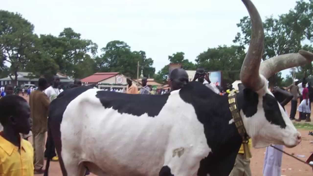 Alier Monydhol Qx2013-Dinka Bor Angkuei