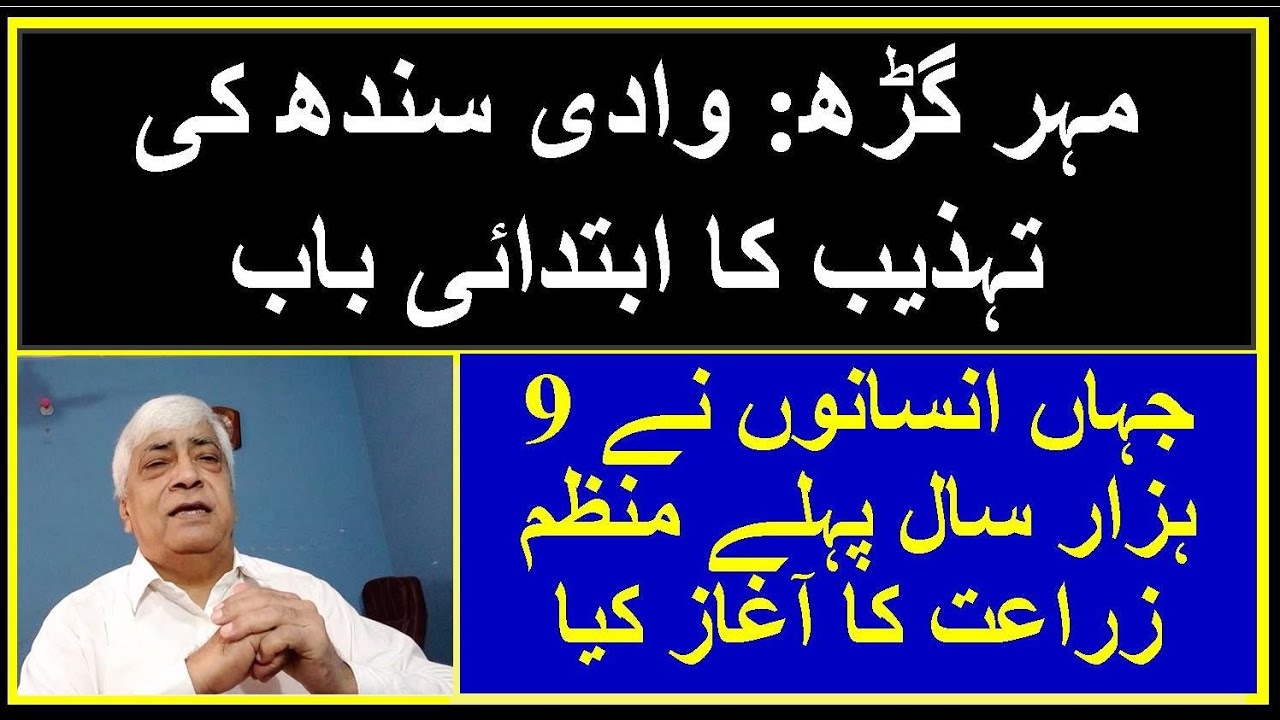 Ruk Sindhi || Mehrgarh: The Earliest Agricultural Settlement of the Indus Valley Civilization