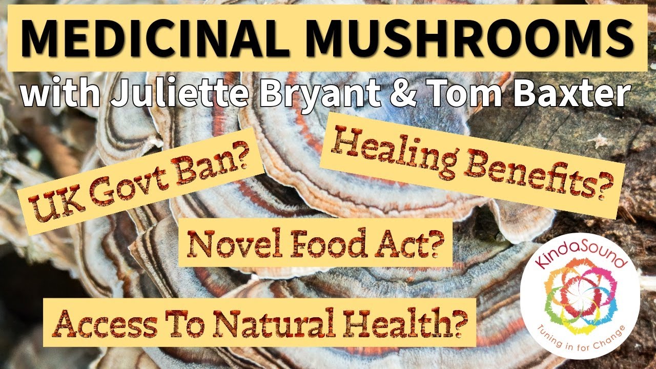 Medicinal Mushroom with Juliette Bryant & Tom Baxter