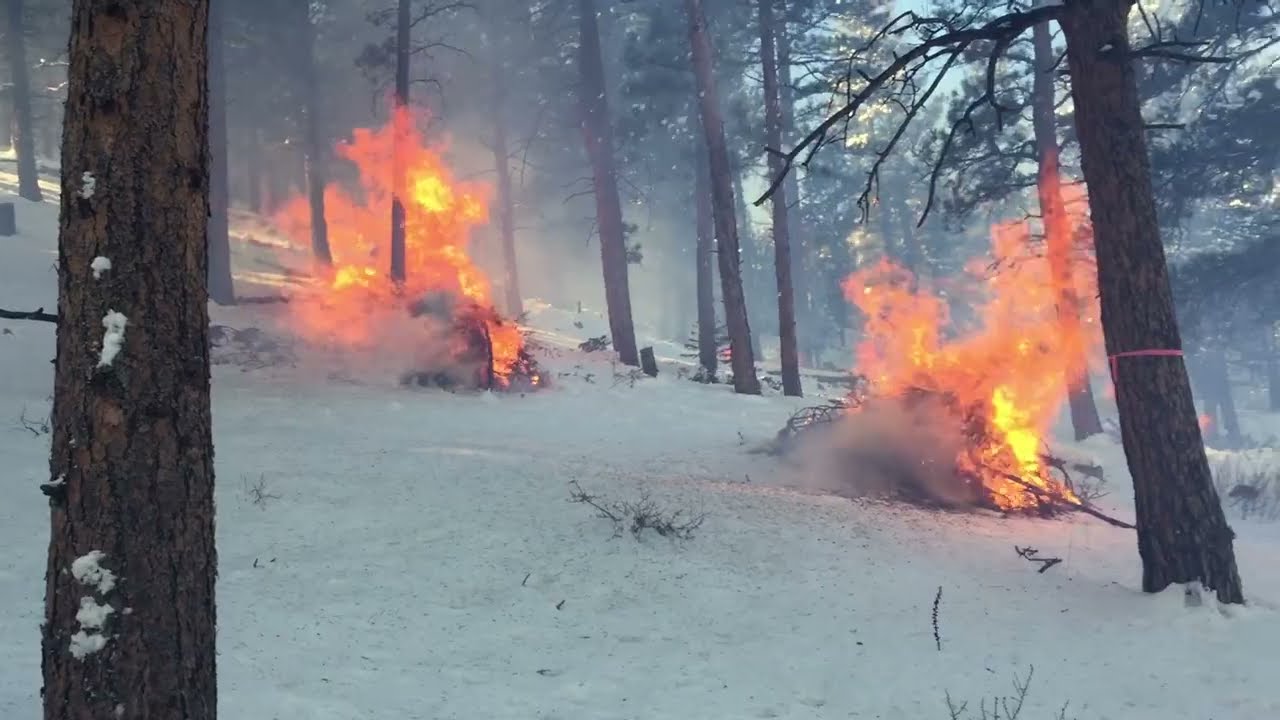 Pile Burning Basics for Colorado Landowners