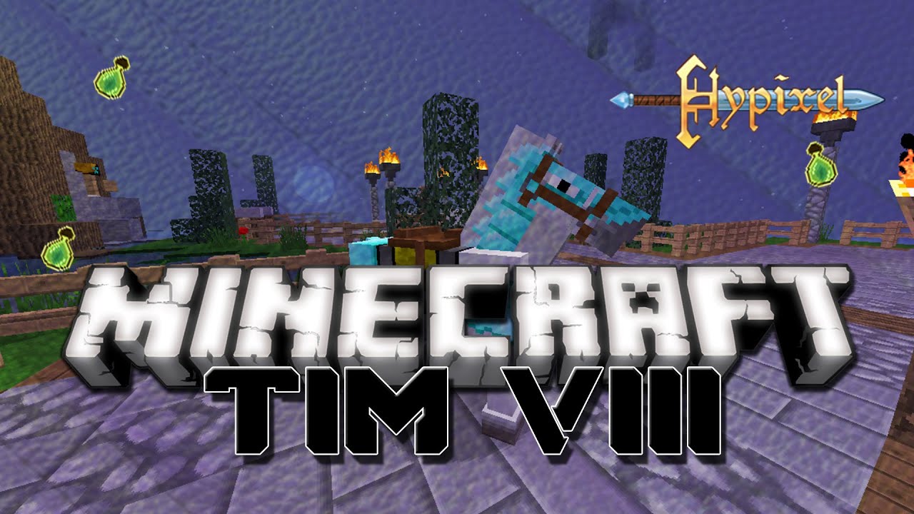 Hypixel - BSG : Tim VIII