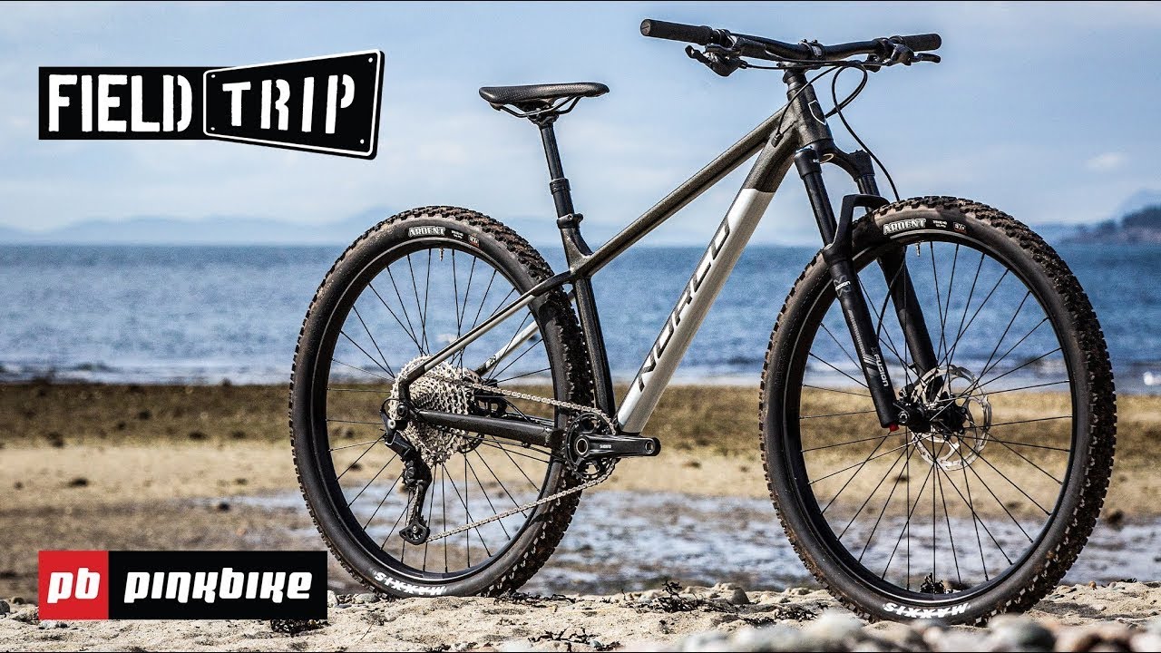 Norco's $1,500 Fluid HT Review: Ready For All-Day Pedal Fests | 2021 Pinkbike Field Trip