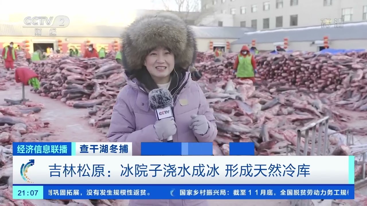 [经济信息联播]查干湖冬捕 吉林松原：大鱼装满院 渔工忙分拣|CCTV财经
