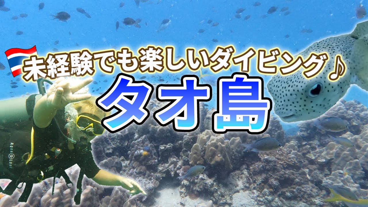 【タイ】タオ島でダイビング　日本人インストラクターと一緒に未経験者も楽しめる海中散歩！ダイビングの料金や見どころも徹底解説！