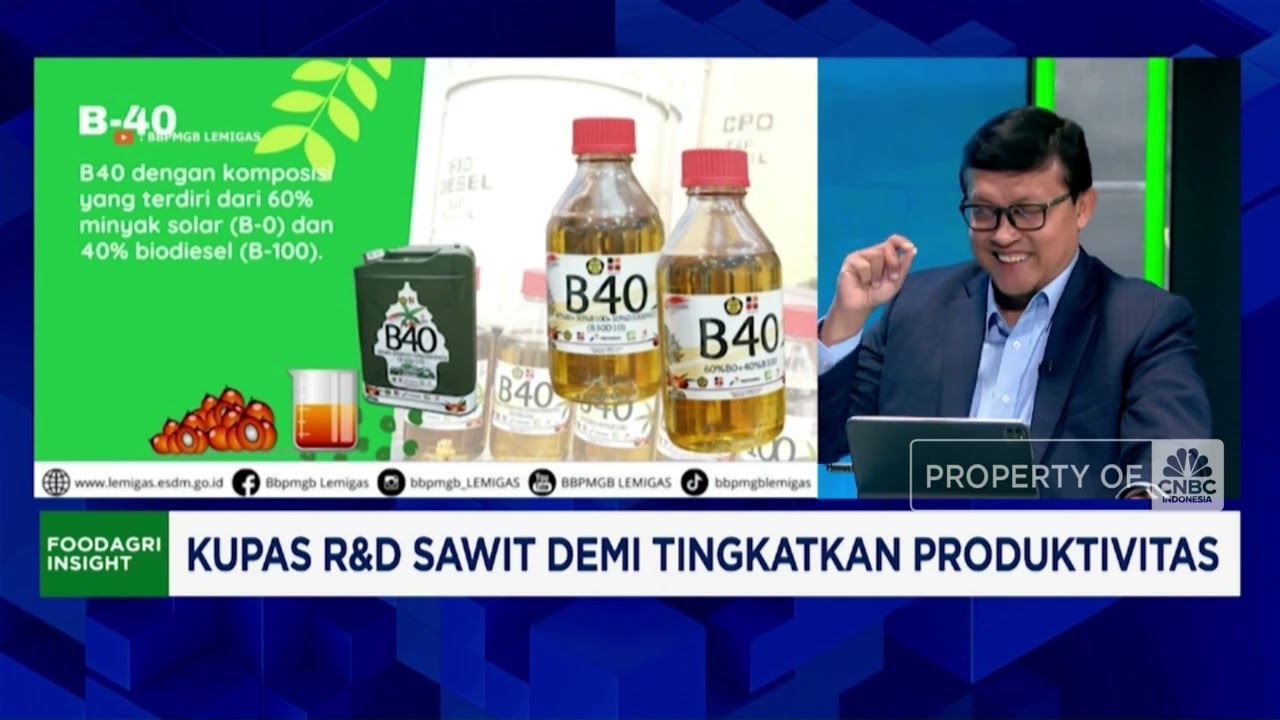 Wow! Ada 200 Produk Hilirisasi Sawit, RI Sanggup Kembangkan?