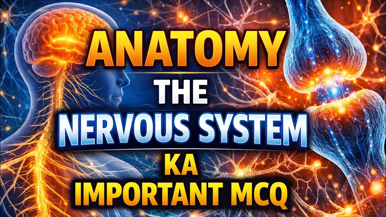 Nervous System Most Important MCQs | Anatomy One Shot Revision