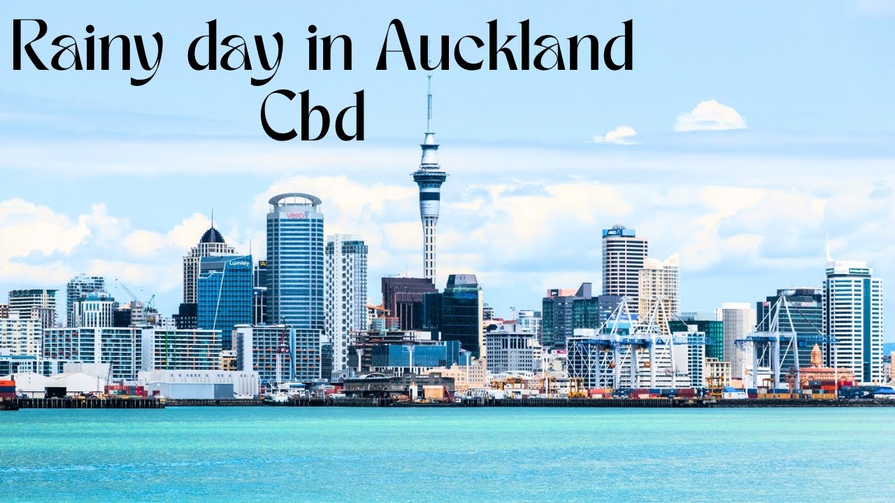 Rainy Day In Auckland CBD | Driving & Filming | New Zealand