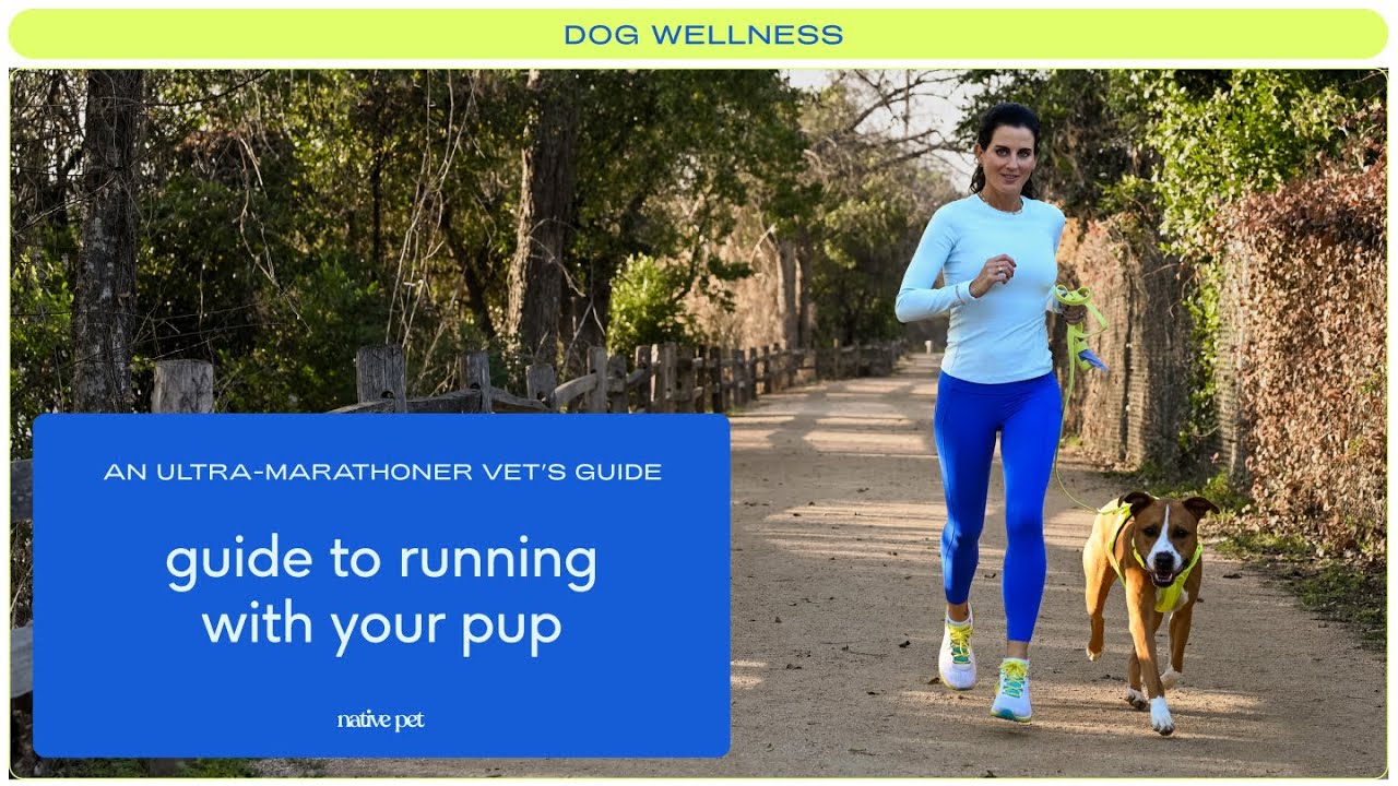 5 Benefits of Running with Your Dog