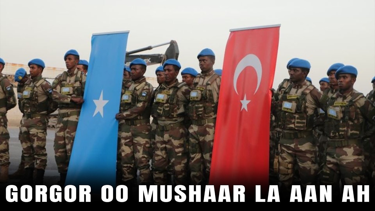 Turkiga oo Weli ku dhegan Bixinta Gunooyinka Ciidamada Gor-gor iyo Haram-Cad
