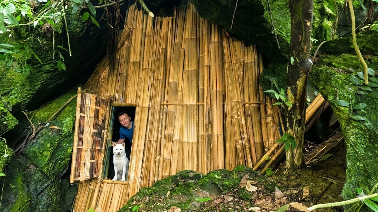 De went to find new land and build a safe haven in the forest, Tran Cong's house, De life vn