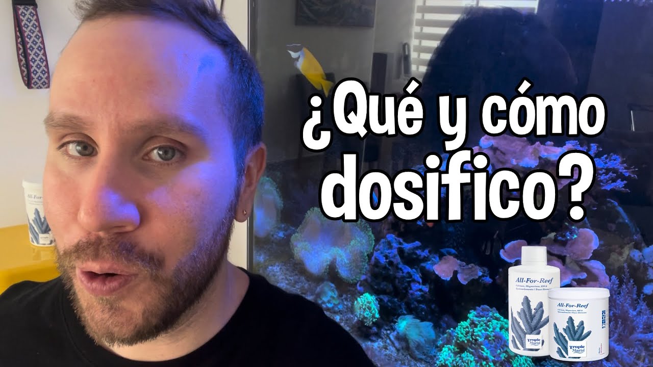 Acuario Marinos - Dosificando en mi pecera marina - ¿Cómo dosifico y que utilizo?