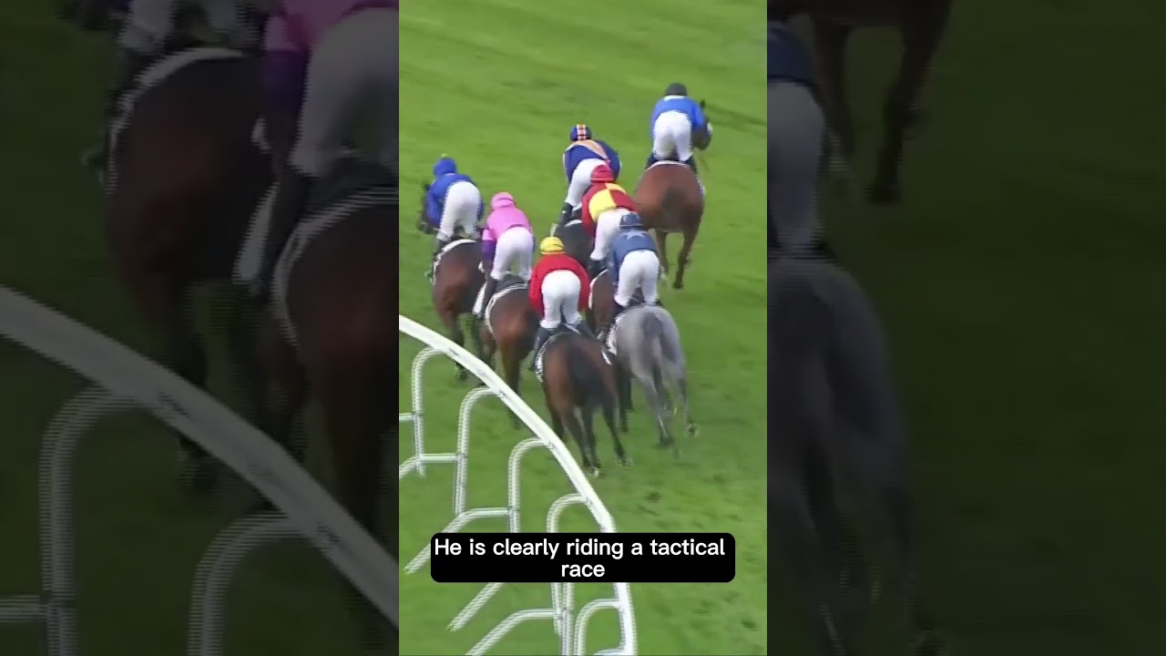 Bizarre Horse Race and Amazing Jockey Skills