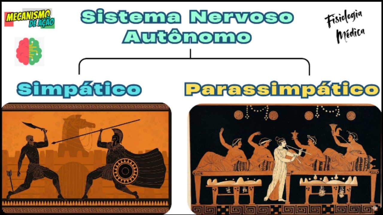 Sistema Nervoso Autônomo