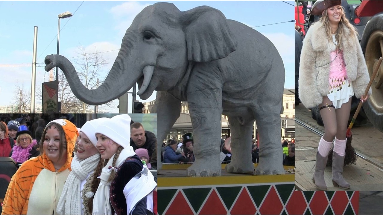 Karneval Braunschweig 2026 / 