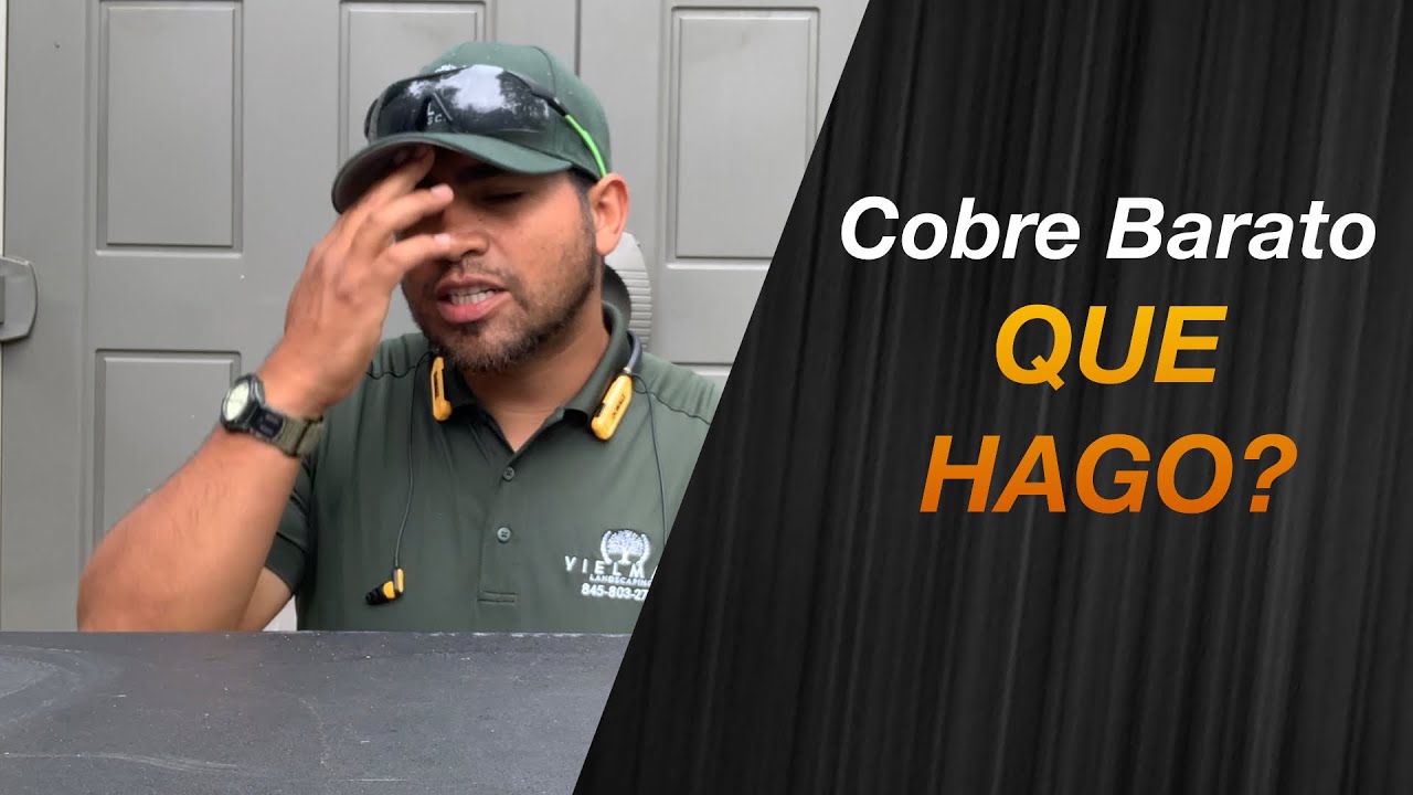 Que Debo hacer si cobre barato?