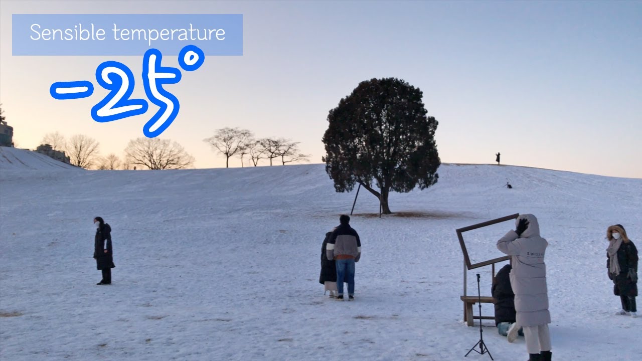 Camera focus failure at a sensible temperature of minus 25 degrees - Olympic Park, Seoul