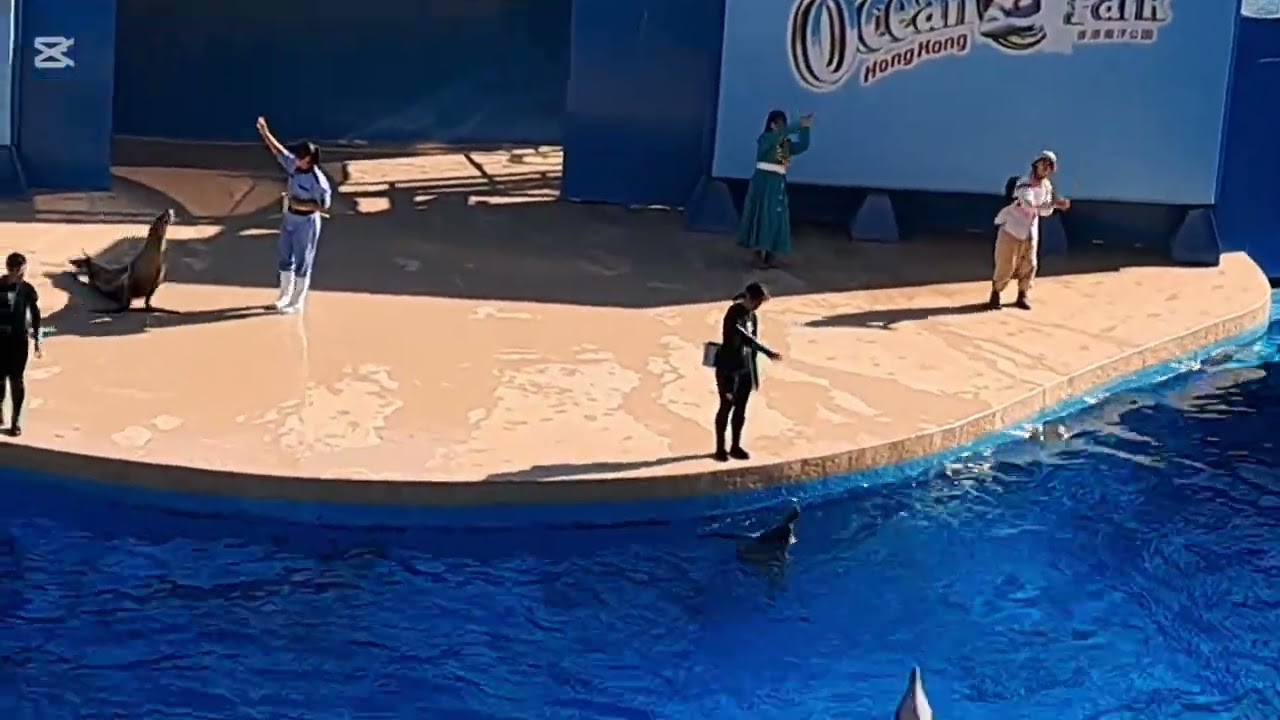 END DOLPHINS EXPLORATIONS  (OCEAN PARK HK)