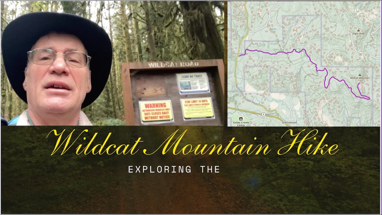 Wildcat Mountain Hike Oregon