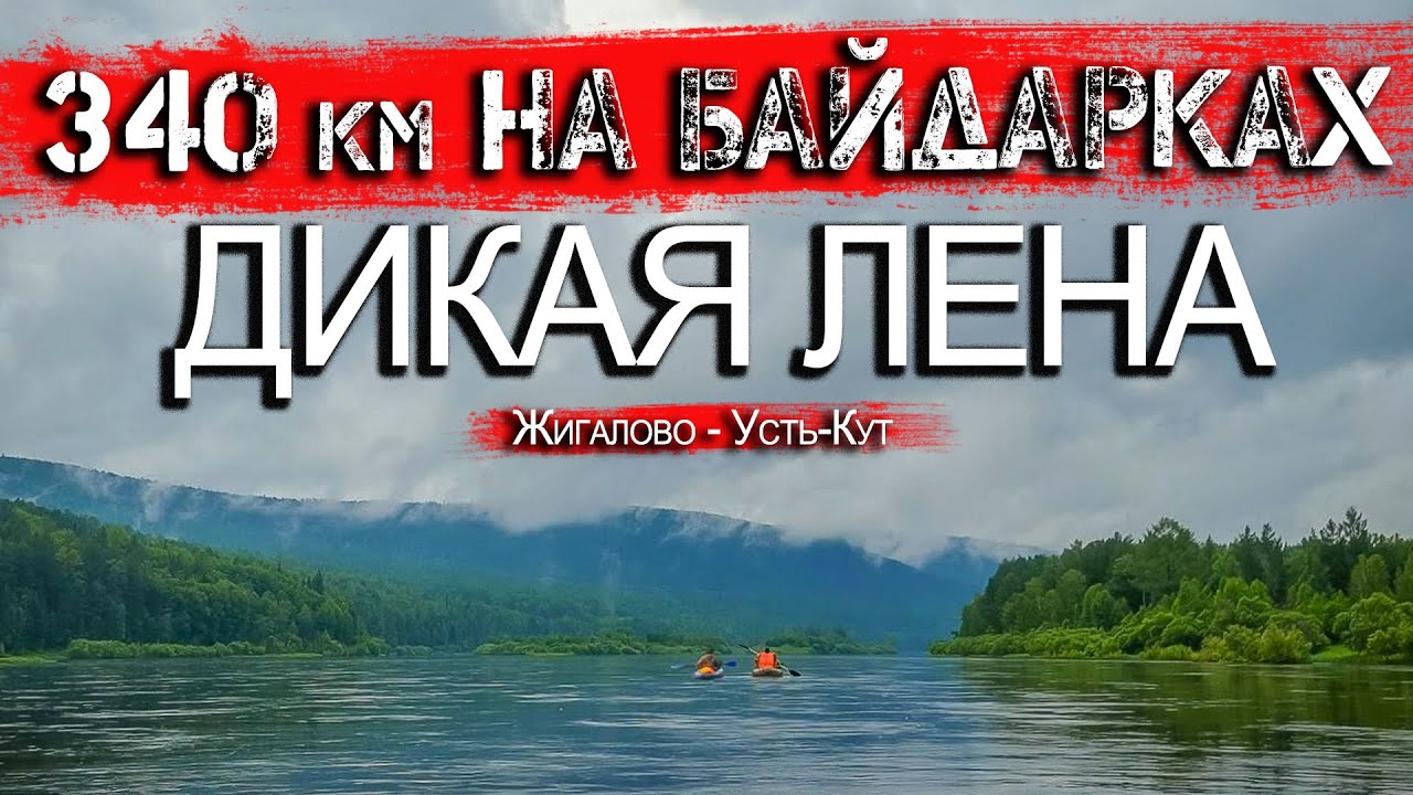 Дикая река. Рыбалка,медведи, косули, изюбры.