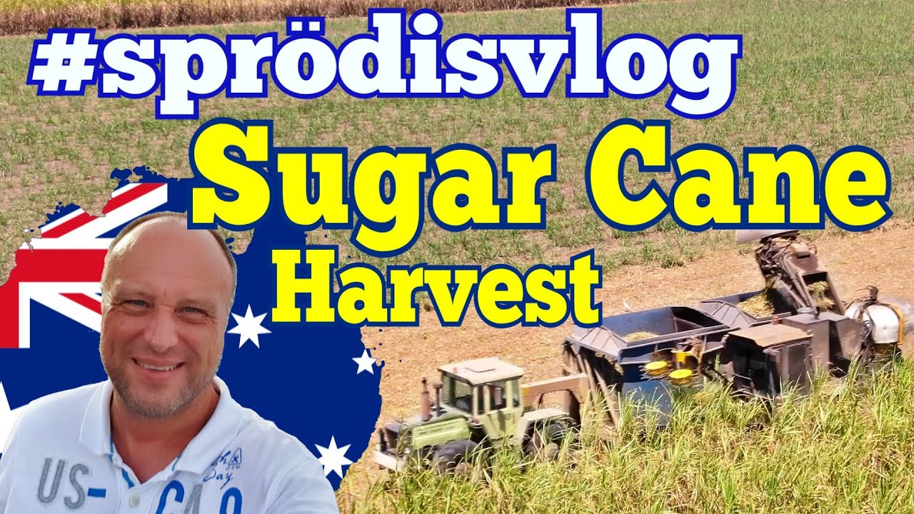 Zuckerrohr-Ernte in Australien - Harvesting Sugar Cane SPRÖDISVLOG - Entlang Ostküste Australiens