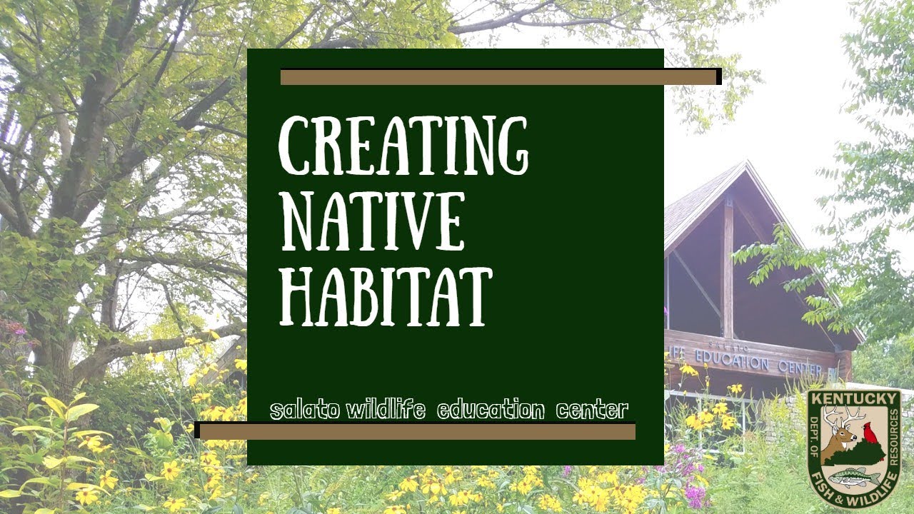 Creating Native Habitat