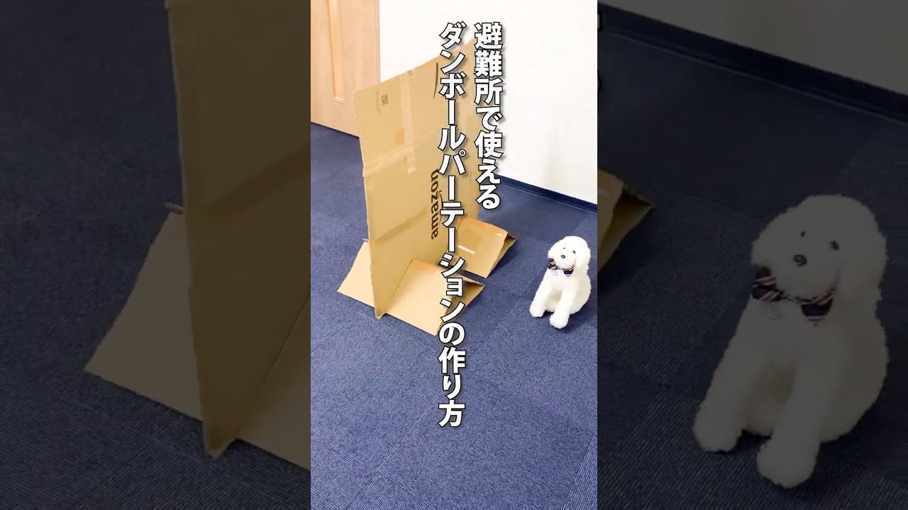避難所で大活躍!ダンボールパーテーションの作り方 #防災 #防災グッズ #地震 #避難所 #diy