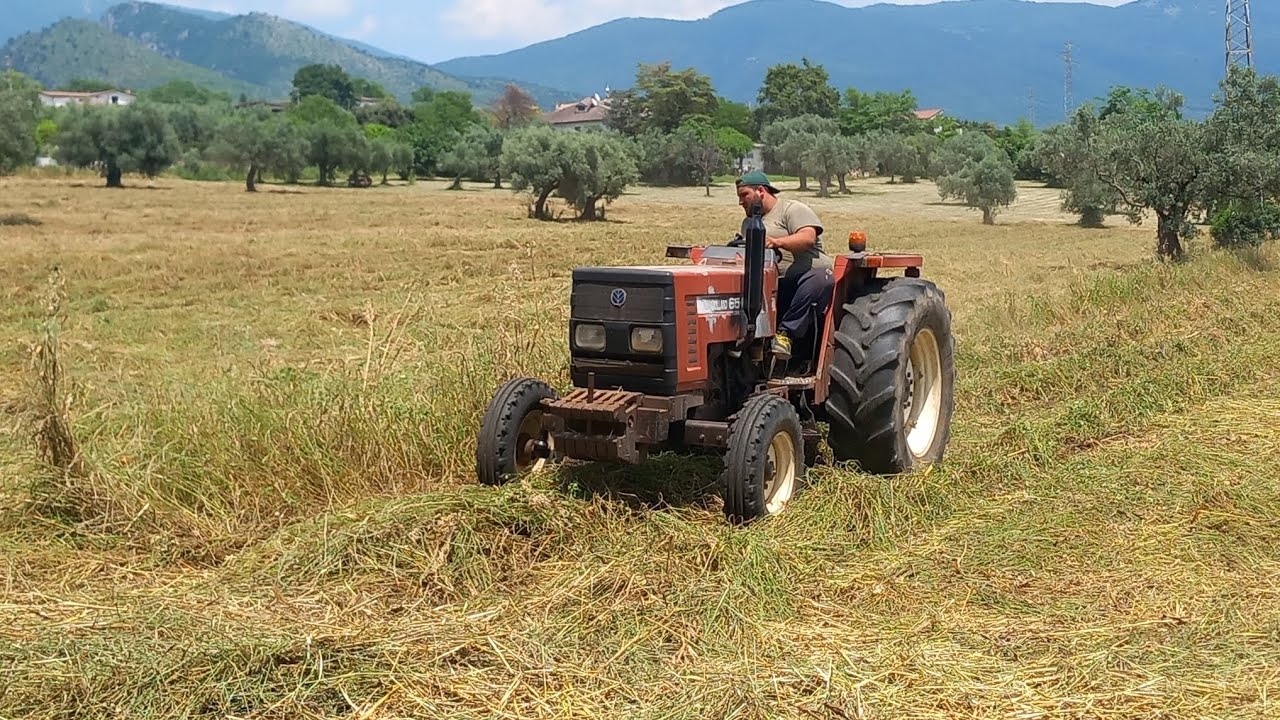 FIATAGRI 65-66S - PÖTTINGER CAT 170 | FALCIATURA MISCUGLIO