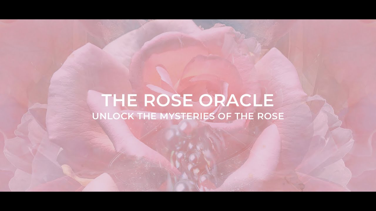 The Rose Oracle Unboxing + readings