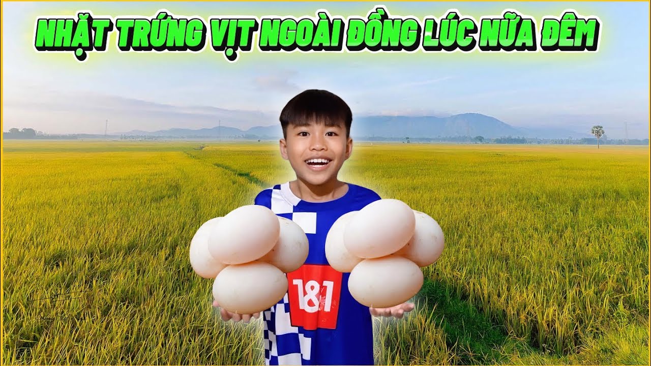 Bé Lâm Thử Nhặt Trứng Vịt Ngoài Đồng Lúc Nữa Đêm, Thật Vậy Sao ???