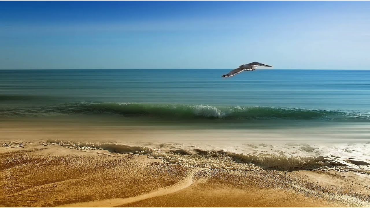 🎺🎸 Scarlet Rhythm Vision | Cinematic Pure Flamenco Guitar Orchestral Manifesto 🎬