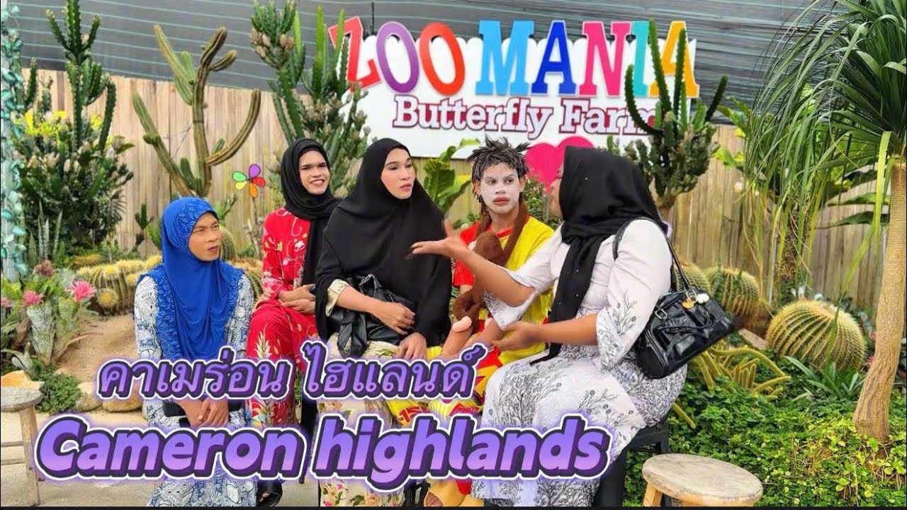 คาเมร่อน ไฮแลนด์ Cameron highlands 