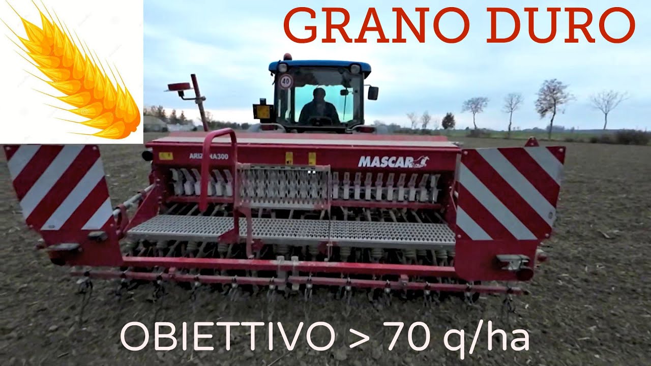 SEMINA PROVE GRANO DURO