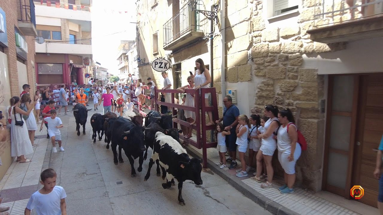 Tv Carcastillo - 08/08/2025 - Trashumancia Infantil.