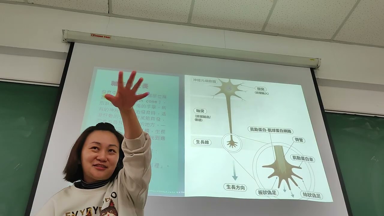 1150312大腦學習法（下午第五堂）