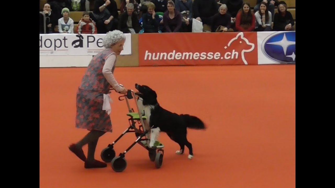 3. Platz - Klasse 3 - Dogdance - Freestyle - Anja & Merlin 