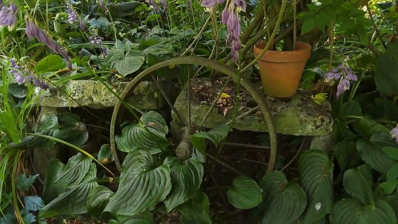 My fabulous romantic garden in the mountains , please enjoy