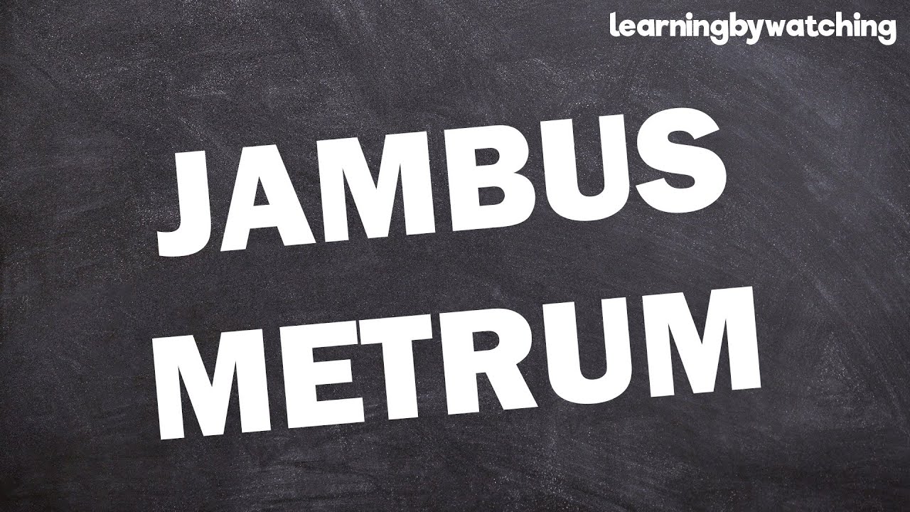 Jambus Metrum einfach erkl&auml;rt!