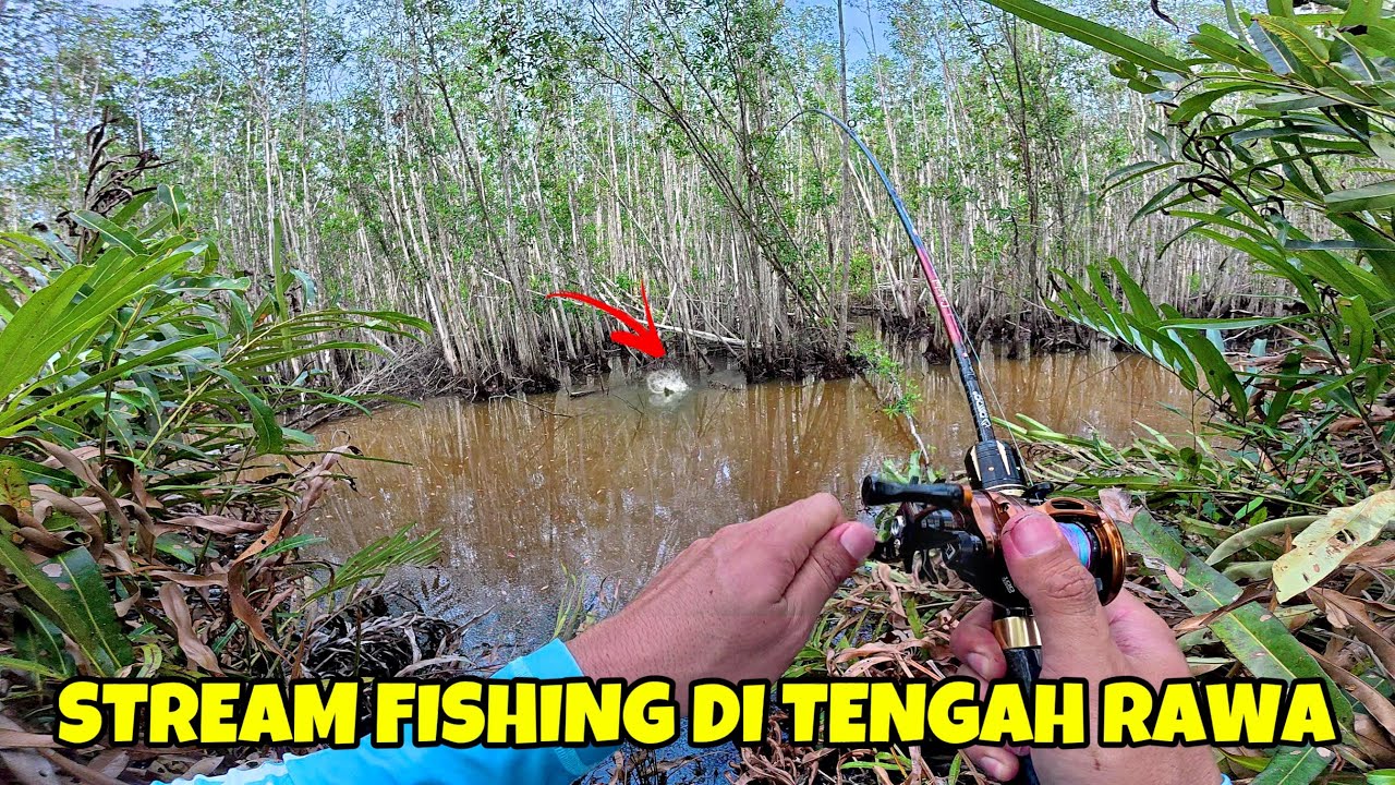 EDYAN .!! 2026 MASIH ADA SPOT ALAMI SEPERTI INI, AUTO PANEN STRIKE, STREAM FISHING DI HUTAN